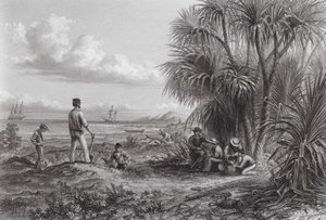 Austrália: Um acampamento de exploradores (gravura) de Thomas (after) Baines