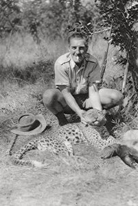 Tribunal de Chaplin trata leopardo, de Abercorn a Tukuyu, Tanganica, 1925 1927