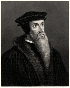 Calvin, século XIX