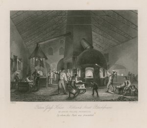 Casa de vidro do falcão de Thomas Allom