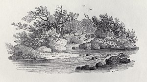 Uma Curva no Rio da &39;História das Aves Britânicas, Volume 2: Aves Aquáticas&39;, 1804
