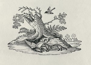 Um Civet com um Galo da "História dos Quadrúpedes", 1790 de Thomas Bewick