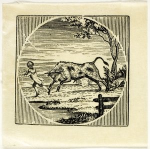 Ilustração do livro de Thomas Bewick