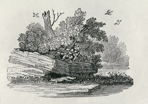 Fox escapando de "A História Geral dos Quadrúpedes", publicada em 1790 (gravura em madeira) de Thomas Bewick