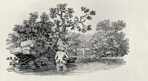 Jogando um salmão de "História de aves britânicas e quadrúpedes" de Thomas Bewick