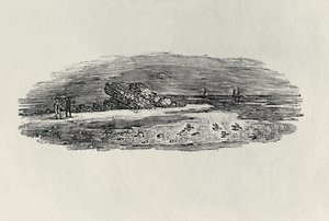Rochas com navegação costeira, c. 1801, de &39;Water Birds&39;, publicado em 1804 (gravura em madeira) de Thomas Bewick