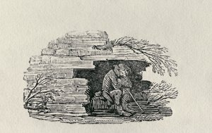 Homem sentado abrigando "História dos pássaros e quadrúpedes britânicos" (gravura) de Thomas Bewick