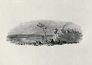 Por do sol do inverno da "história de pássaros britânicos e quadrúpedes" (gravura do bw) de Thomas Bewick