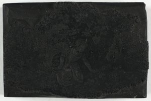 Woodblock para mulher colhendo flores de Thomas Bewick