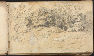 Álbum de Estudos da Paisagem e das Figuras: Esboço de Árvores e Rochas