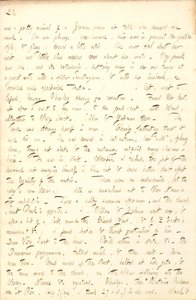 Diários de Thomas Butler Gunn de Thomas Butler Gunn