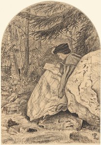 Desenhando da Natureza de Thomas C. Farrer
