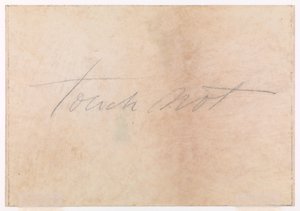 Faias de Burnham de Thomas Charles Farrer