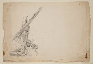 Tronco quebrado de uma árvore (lápis sobre papel) de Thomas Cole