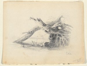 Esboço de duas árvores mortas de Thomas Cole