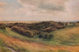 Parque Arundel, 1874 de Thomas Collier