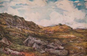 Terra comum de Blythburgh, 1888 de Thomas Collier