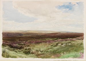 Moorland perto de Hart Leap Well, Yorkshire (aguarela sobre papel) de Thomas Collier