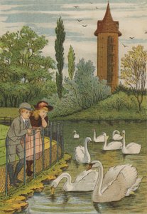 Paris: os cisnes (cor litho) de Thomas Crane