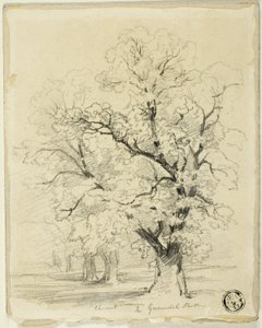 Castanha em Greenwich Park de Thomas Creswick