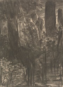 Um bosque de árvores