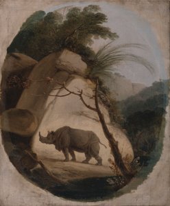 O Rinoceronte indiano de Thomas Daniell