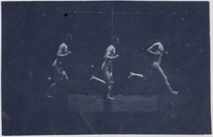 Marey Wheel Fotografias de George Reynolds, c. 1884. de Thomas Eakins