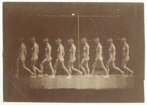 Marey Wheel Fotografias de Modelo Não Identificado, 1884. de Thomas Eakins
