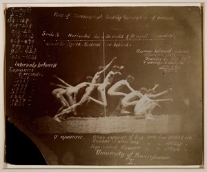 Marey Wheel Photographs of Unidentified Model, com Eadweard Muybridge Notations, 1884. de Thomas Eakins