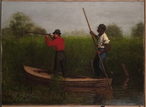 Caça a frangos-d