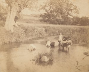 [Três crianças e um cão a brincar no riacho, 4 de Julho de 1883], 1883., 1883., 1883. de Thomas Eakins