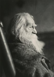 Walt Whitman em Camden, N.J., c. 1891. de Thomas Eakins