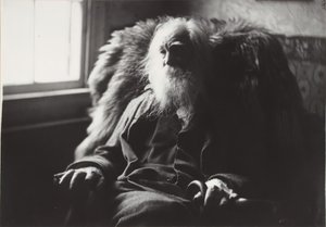 Walt Whitman em Camden, N.J., c. 1891. de Thomas Eakins
