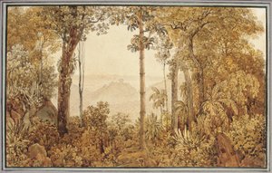 Vista com vista para o Rio de Janeiro da floresta da Tijuca