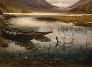 Barcos e Nenúfares de Thomas Fearnley