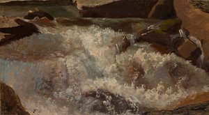 Água Selvagem. estudo da natureza de Thomas Fearnley
