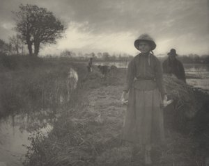 Polimento do feno do pântano, 1886 (foto) de Thomas Frederick Goodall