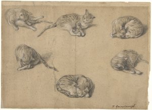 Seis estudos de um gato de Thomas Gainsborough