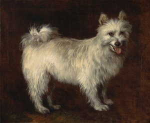 Spitz Dog, A Dog, ca. 1765. de Thomas Gainsborough