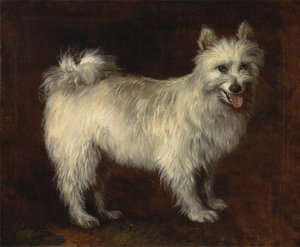 Cão Spitz de Thomas Gainsborough
