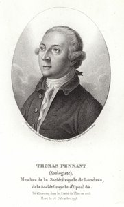 Thomas Pennant de Thomas Gainsborough