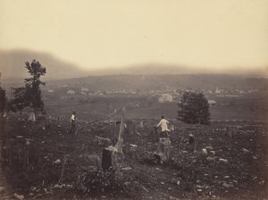 Waymart, Del. & Hudson Canal Co., c. 1863-1865.