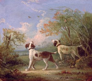Spaniels em uma paisagem