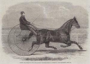 Jackey, o vencedor do final do Aintree Trotting Stakes no Liverpool de Thomas Harrington Wilson
