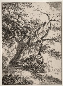 Espécimes de Poliautografia: Paisagem com um Carvalho, 1803. de Thomas Hearne
