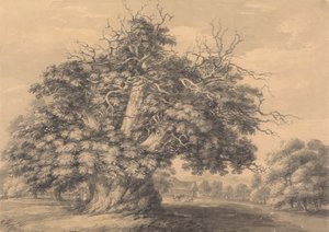 A Castanheira em Little Wymondley, Hertfordshire de Thomas Hearne
