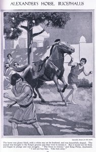 O cavalo de Alexandre, Bucéfalo: o cavalo era preto brilhante com uma estrela branca na testa, c.1950 (litografia) de Thomas Heath Robinson