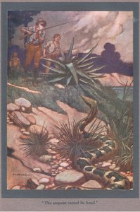 A serpente levantou a cabeça (litografia a cores) de Thomas Heath Robinson