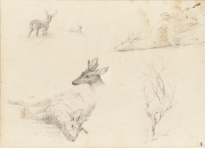 Caderno de esboços de paisagens e animais, 1860-64.