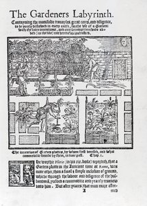 Arbor construído como uma sombra contra o sol e plantando em camas levantadas, de The Gardeners Labyrinth, 1577 de Thomas Hill